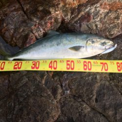 ショアジギング