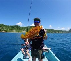 ロックフィッシュとジギング