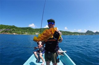 ロックフィッシュとジギング