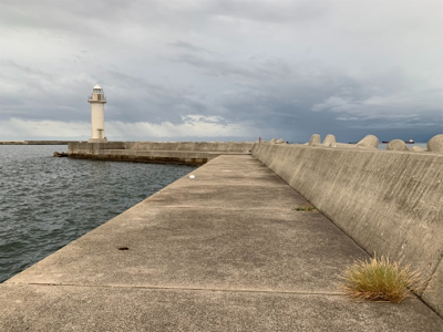 渋くなったタチウオ
