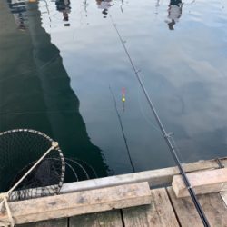 釣堀田尻初サンクスコース