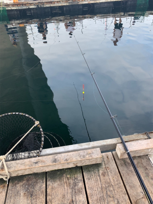 釣堀田尻初サンクスコース