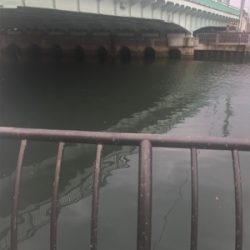 夜勤明けシーバスGET!と思いきや