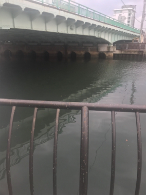 夜勤明けシーバスGET!と思いきや