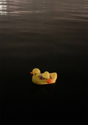 シーバス放浪も