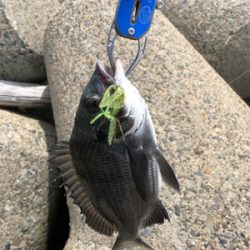 戦闘機が頭上を飛ぶ。チニング