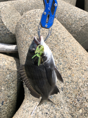 戦闘機が頭上を飛ぶ。チニング