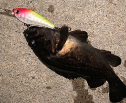 ６０分一本勝負！