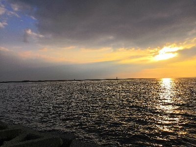 タコシーズン開幕