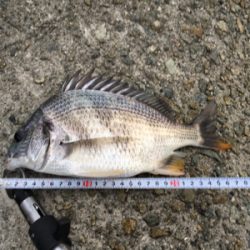 厳戒態勢中の釣り