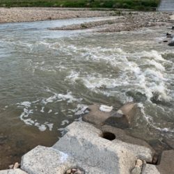 夕方ナマズゲーム