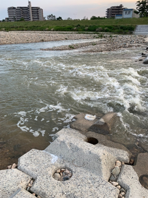 夕方ナマズゲーム