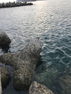 梅雨の中休み？