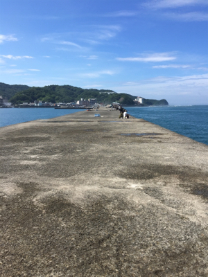 G20の為、仕事が休みになったので