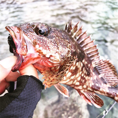 ゆる〜くライトロック！