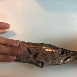 逃した魚は大きい??