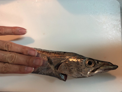 逃した魚は大きい??