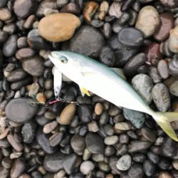 七里御浜ショアジギング