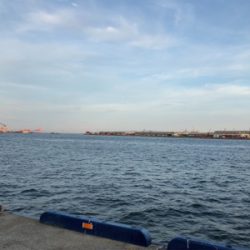 私を釣りに連れてって