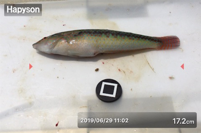 梅雨の晴れ間に投げ釣り