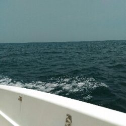 明石沖で真鯛釣り