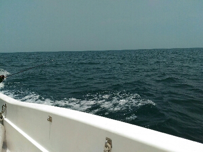 明石沖で真鯛釣り