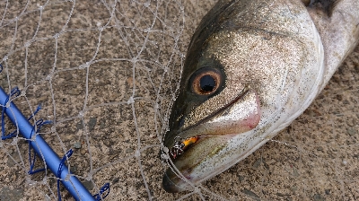 令和一の停泊船ゲーム