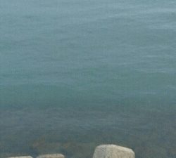 朝マズメにトップ一発！70アップ3キロオーバーゲット！