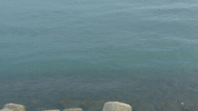 朝マズメにトップ一発！70アップ3キロオーバーゲット！