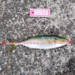 ツバス祭継続中‼️