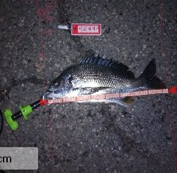 1年振りのいつもの所