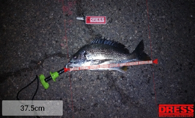 1年振りのいつもの所