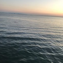 ジグサビキ=爆釣