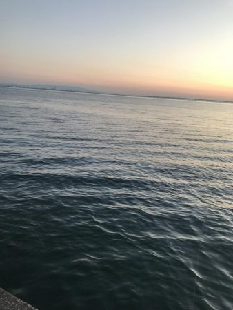 ジグサビキ=爆釣