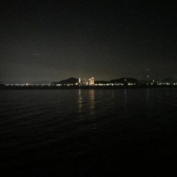 イキナリ思い立ってタチウオ狩り