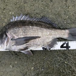 イチノ兄弟、釣果!