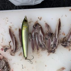 ブリキャスティング