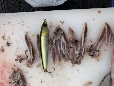 ブリキャスティング