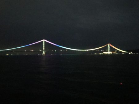 まだ大サバは…。