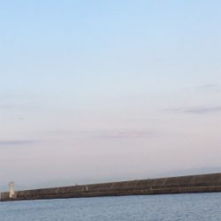 カレイは終わりかな？