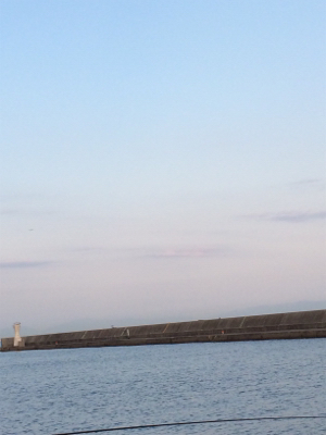 カレイは終わりかな？