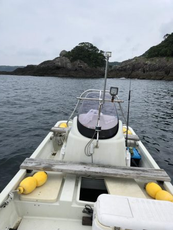 デカイカ狙い 串本釣果