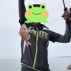 三日連続のキス釣り·····嬉しい魚も