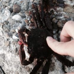 えっ！秋サイズ？