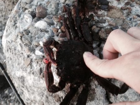 えっ！秋サイズ？