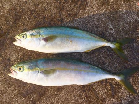 モーニングサービス