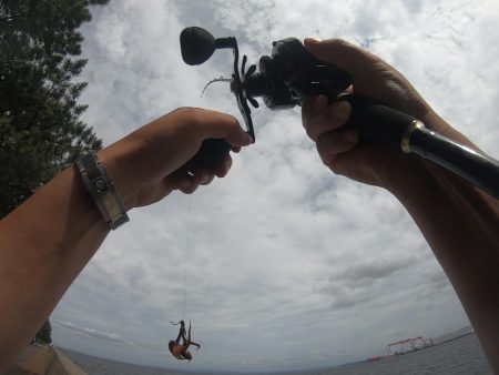 オクトパッシングで2杯