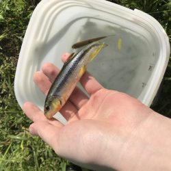 何年かぶりの…