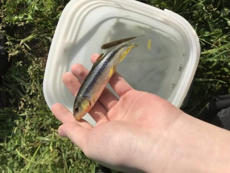 何年かぶりの…