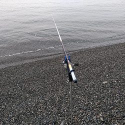 二日連続でアオリイカ釣れました!!